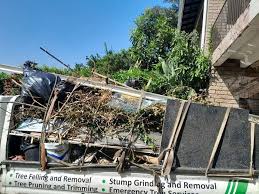 Best Hoarding Cleanup  in Wild Peach Village, TX