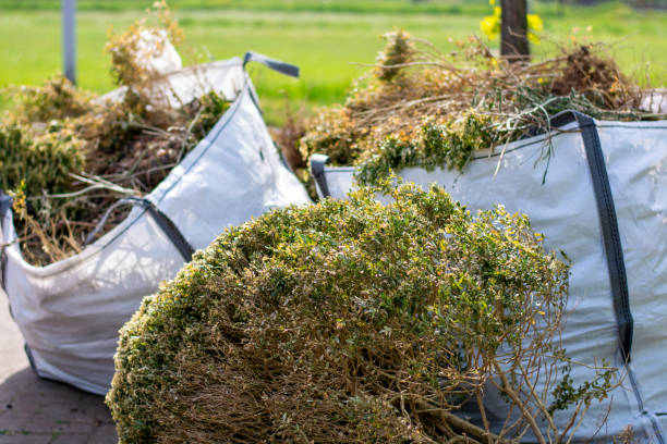 Best Electronics and E-Waste Disposal  in Wild Peach Village, TX